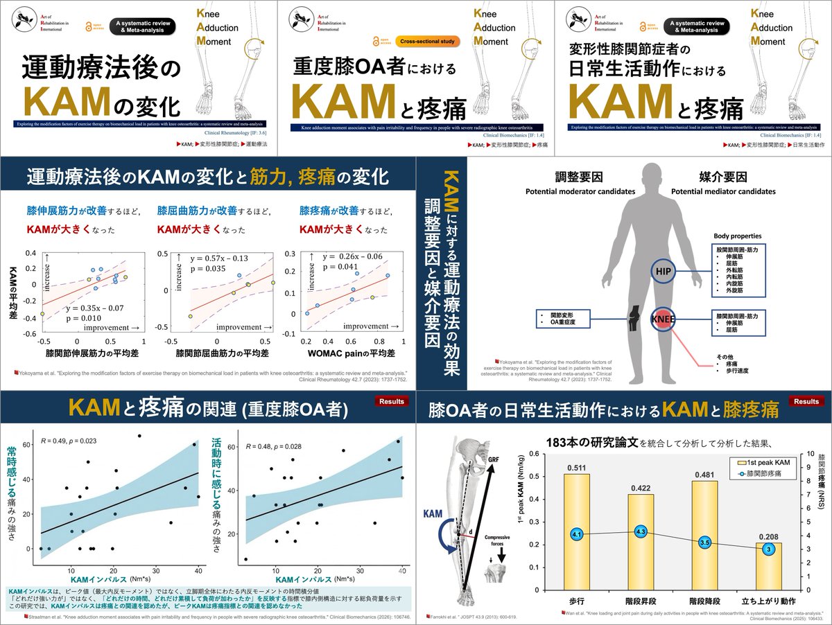 copellist's tweet image. 股関節外転筋とKAMの関係💡
外転筋力低下→KAM増加のメカニズム

最近の文献抄読を共有しますᯤ
✅KAMを減少させる戦略：note.com/super_human/n/…
✅重度OA者のKAMと疼痛：note.com/super_human/n/…
✅ADLにおけるKAMと疼痛：note.com/super_human/n/…

KAMの理解は膝OA者のリハに重要ですからね🙇
#KAM