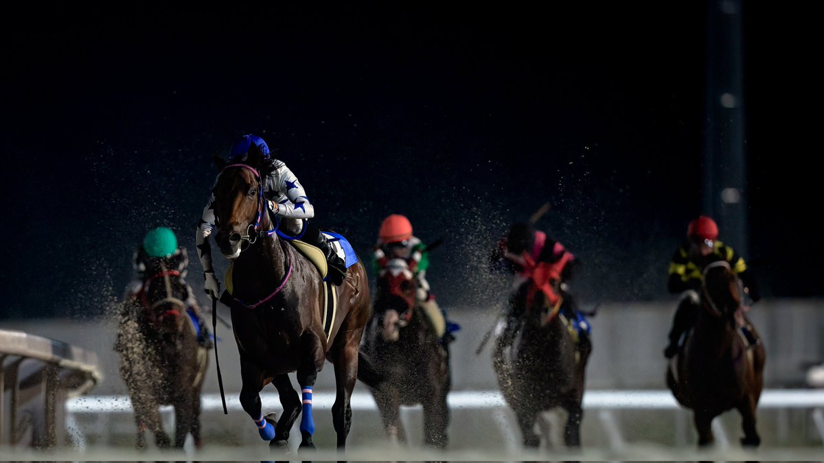 @๐๐ท๐ช๐ซ๐ต๐ฎ๐ tweet media