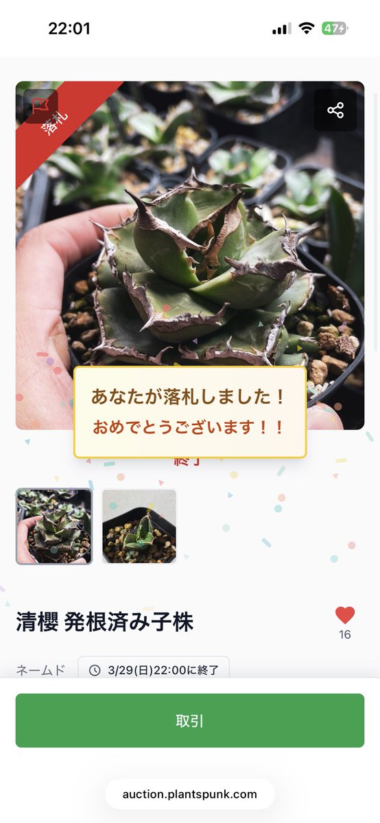 るてん@植物初心者 tweet media