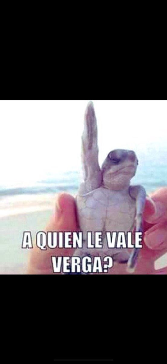 ferdelca tweet media