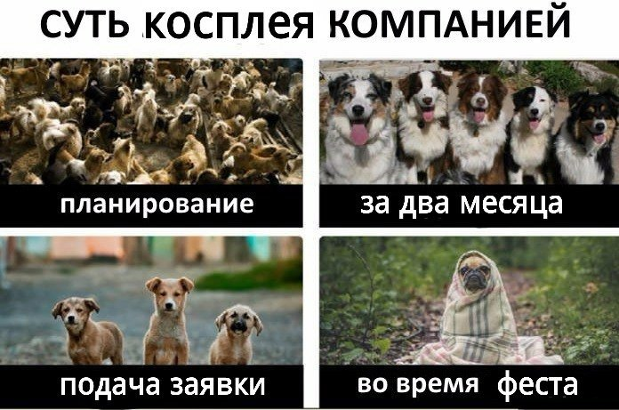 Selena Din tweet media