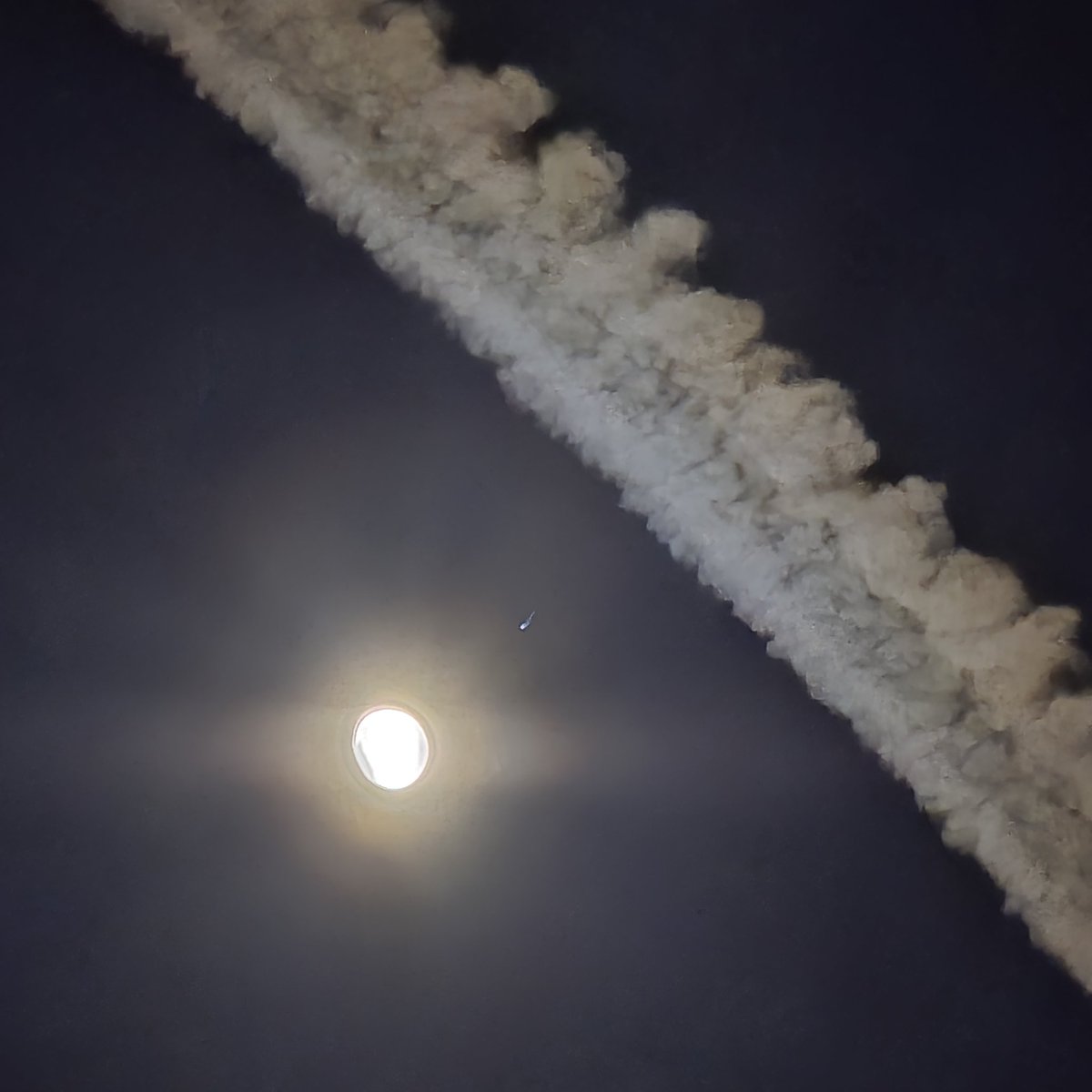 Crispy Onions tweet media