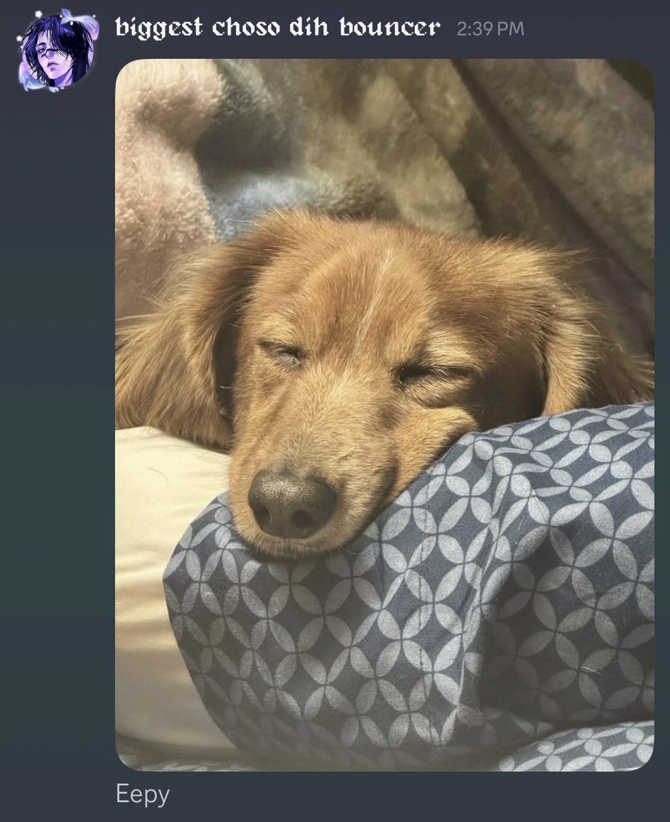 hannahlinn.exe 🖤 tweet media