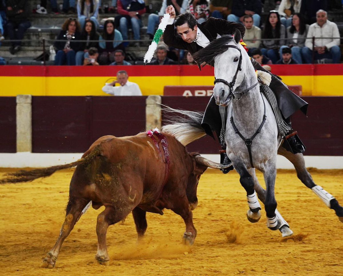 Tauroemoción Extremadura tweet media