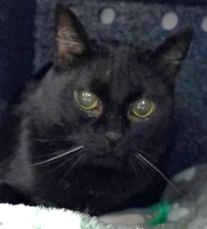 Renee' Martin tweet media