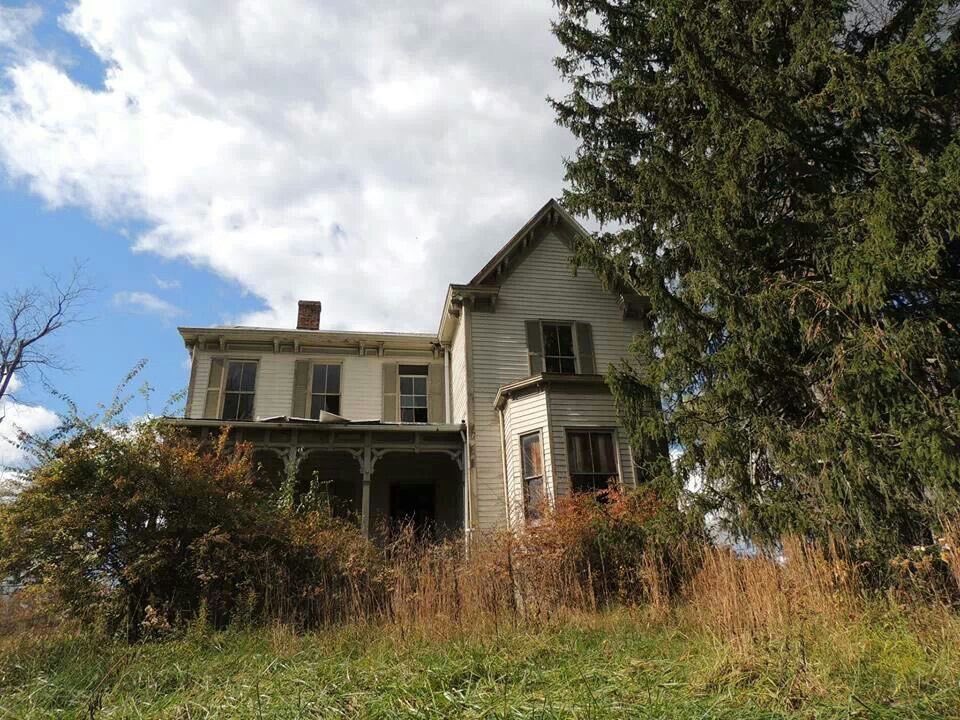 dreamland tweet media