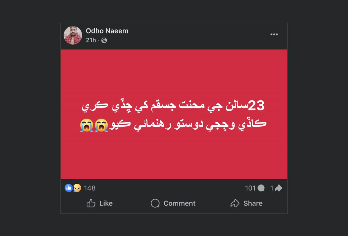 Daadlo 🍉 tweet media