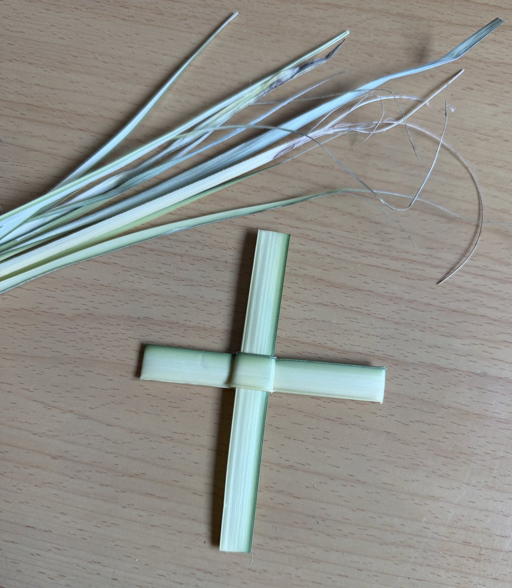 Piero Fioravanti 🇺🇸🇮🇹🏳️🌈 tweet media