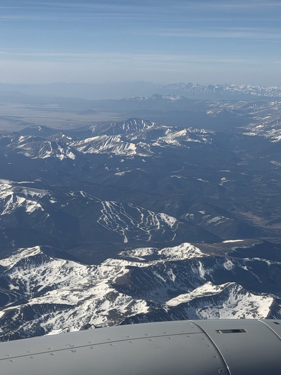 matt lorelli tweet media