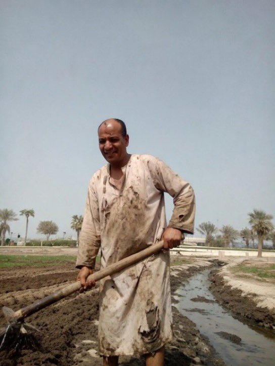 كاشف المزورين tweet media