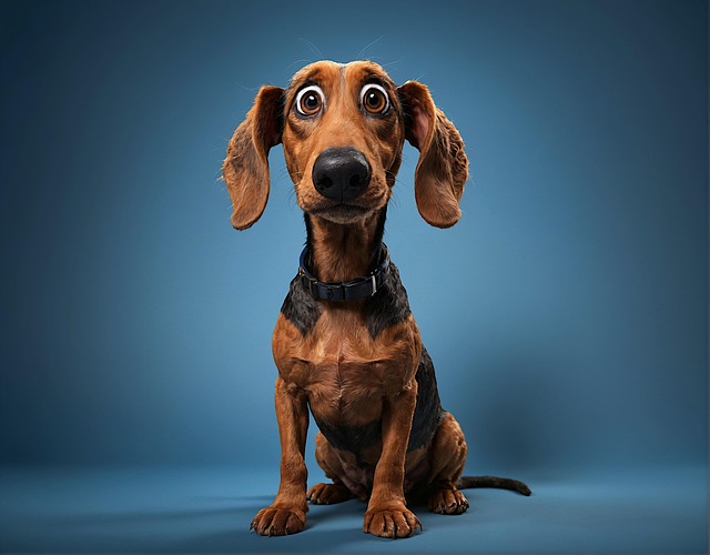 Jeff Price tweet media