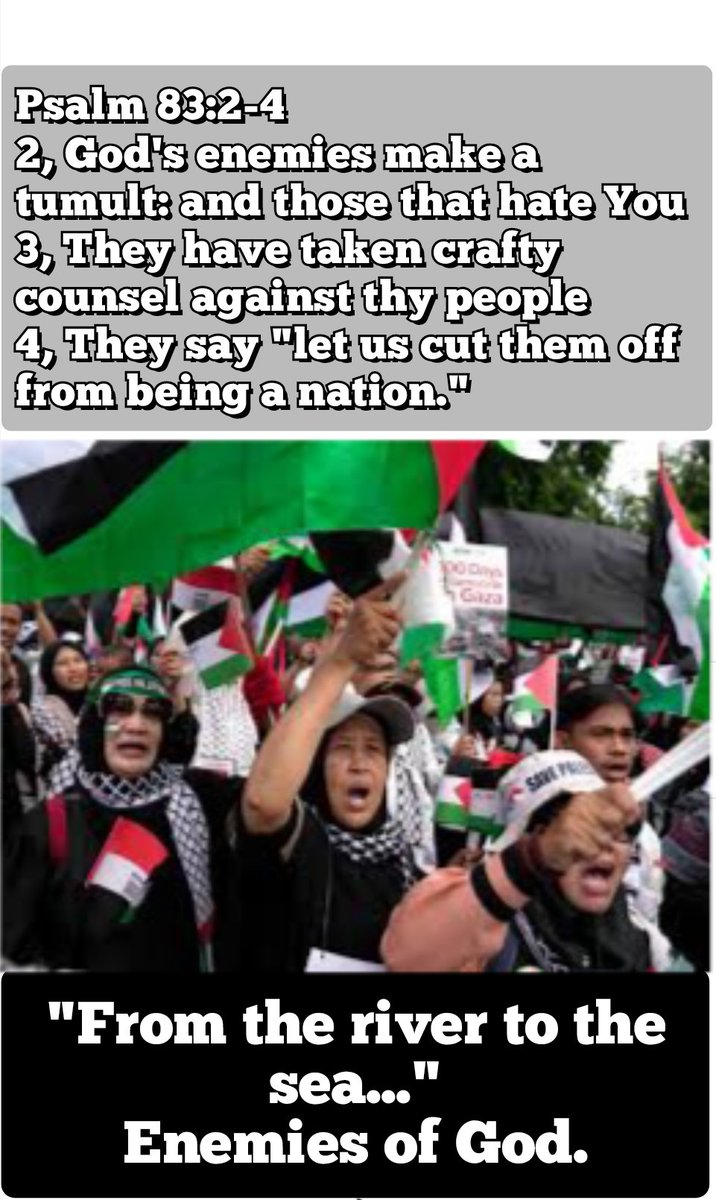 🔞WHAT BLOCK BUTTON DOING? 😱 2 Maccabees 3:36. tweet media