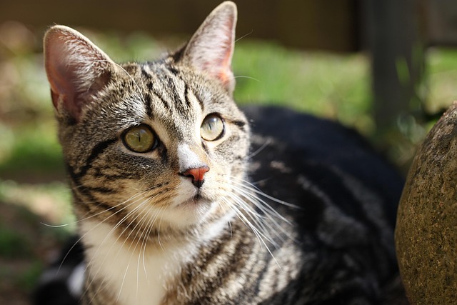 Kristin Smith tweet media