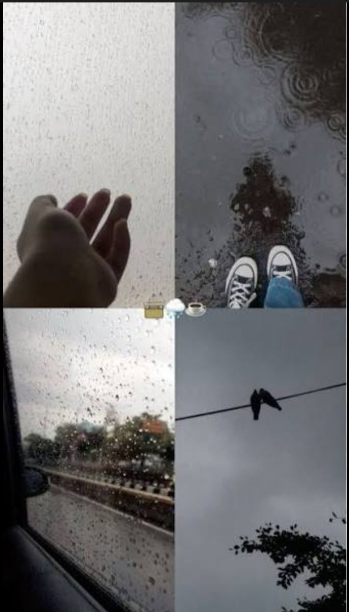 مريم tweet media