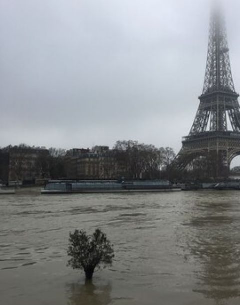 wiyanieri tweet media