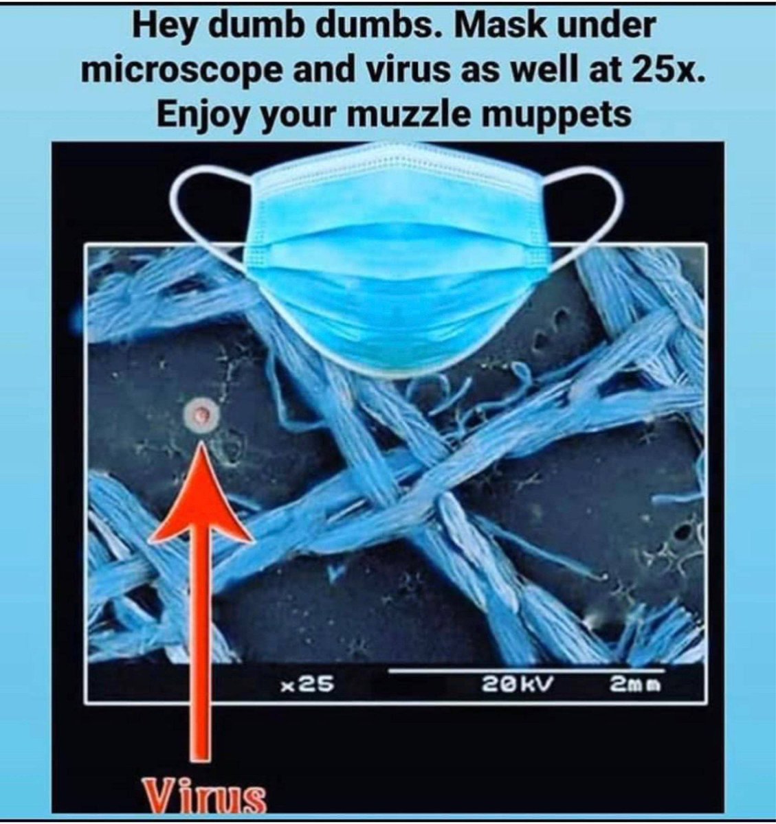 <a href="/drsimonegold/">Dr. Simone Gold</a> <a href="/NickRogersBTL/">Big Timber Lodge</a>