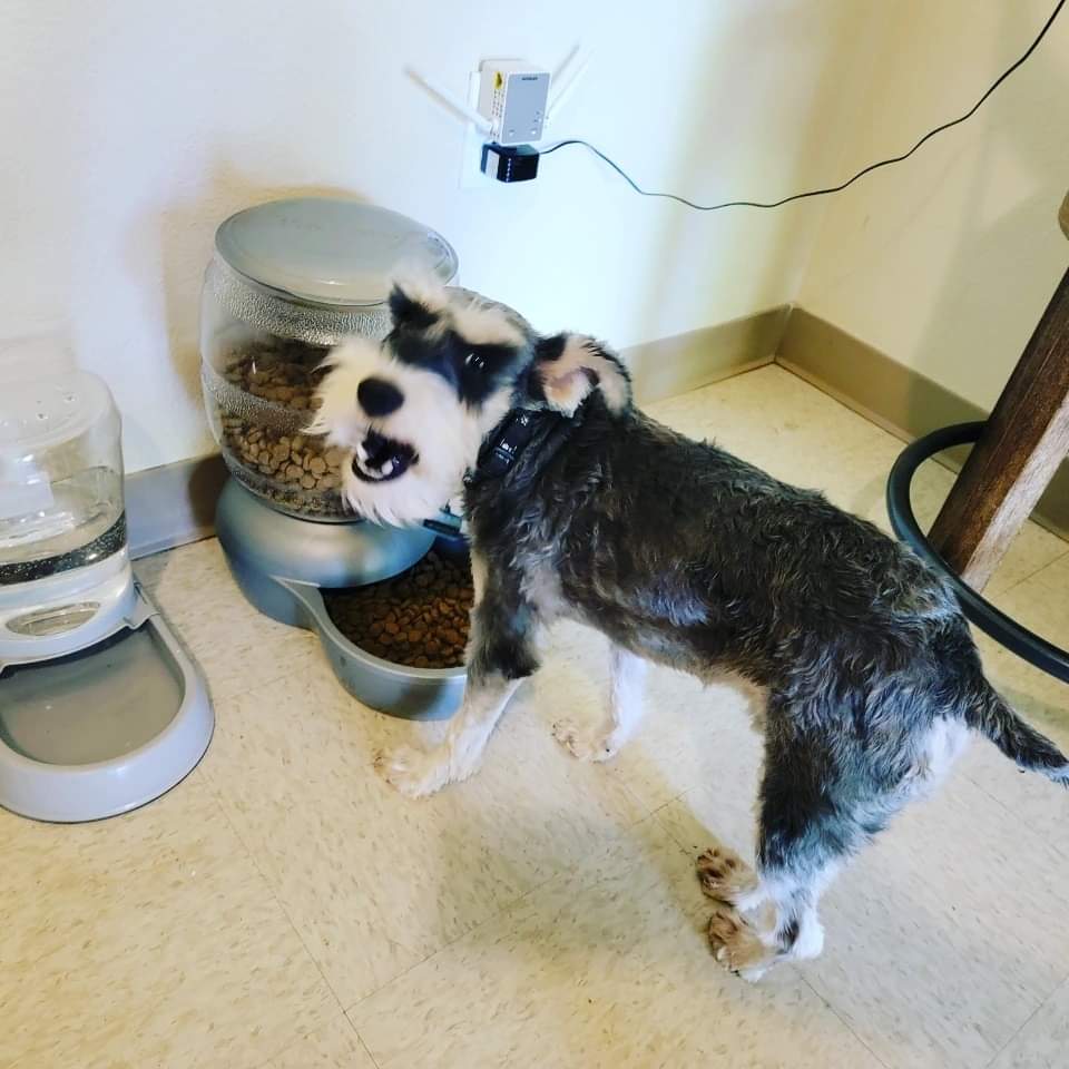 ZeroBarkThirty(2) tweet media