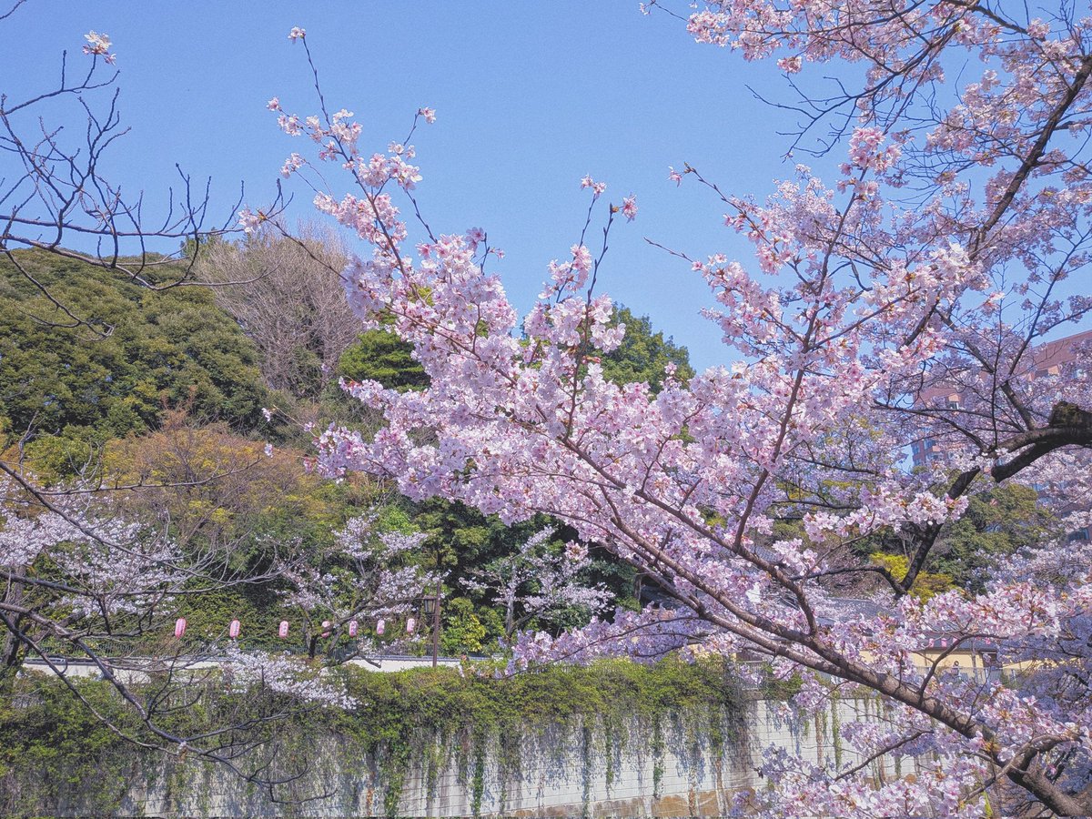 Jun Ozaki tweet media