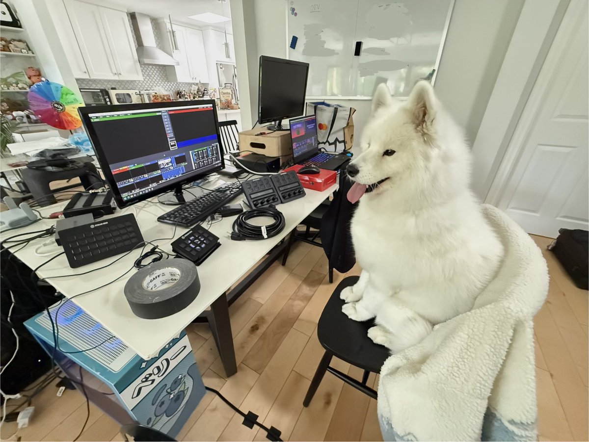 Max Olivo tweet media