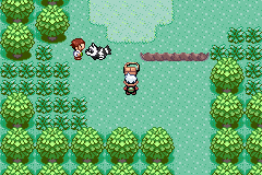 DarksharkN's tweet photo. 12ème run de pokemon run and bun, il est temps de voir si c'est LA run ou reset encore 

https://t.co/HFS5ORbVlO https://t.co/He6tTAfhnS