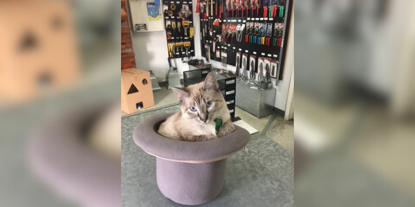 RoofCoffeeShop's tweet image. We want to share your fur babies on MetalCoffeeShop! Thanks to Thompson-Mathis Metal Mfg. Co of Dallas, Texas for sharing.

#TheCoffeeShops #RoofersCoffeeShop #MetalCoffeeShop #RoofingProfessionals #RoofingContractors #RoofersForum #RoofingRespect