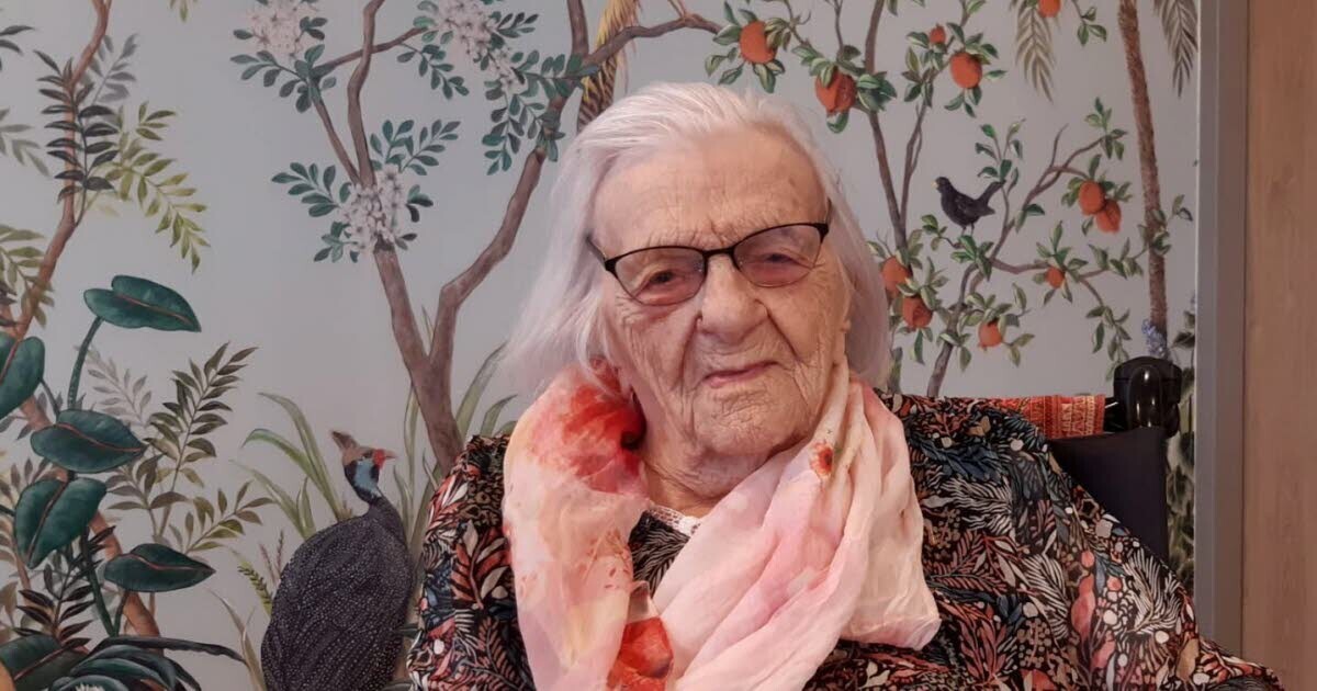👵 Le secret de longévité de Suzanne, doyenne de #Bron qui a soufflé ses 110 bougies : « Boire un petit verre de porto de temps à autre »

➡️ l.leprogres.fr/ZzE