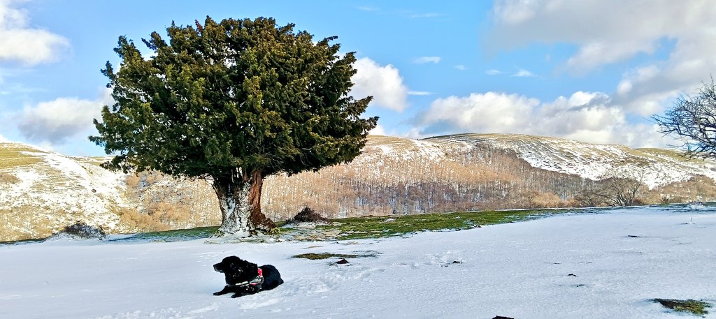 Eduardo Gomez tweet media