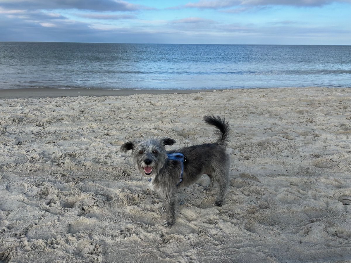 HamiltonMAPoliceDept tweet media