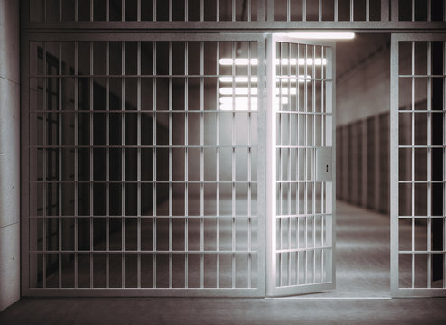 HSRAnythingBot's tweet photo. Fat Fuck has been released from prison! https://t.co/Uau4Rzs4SE
