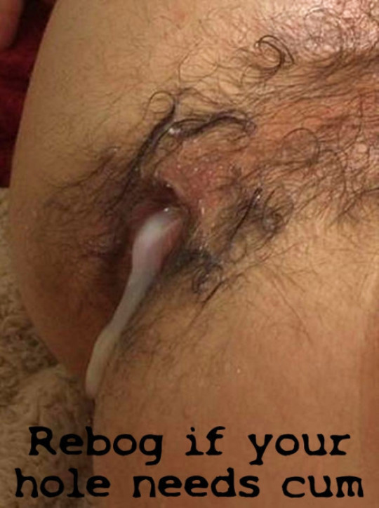 NOR3STR8NT tweet media