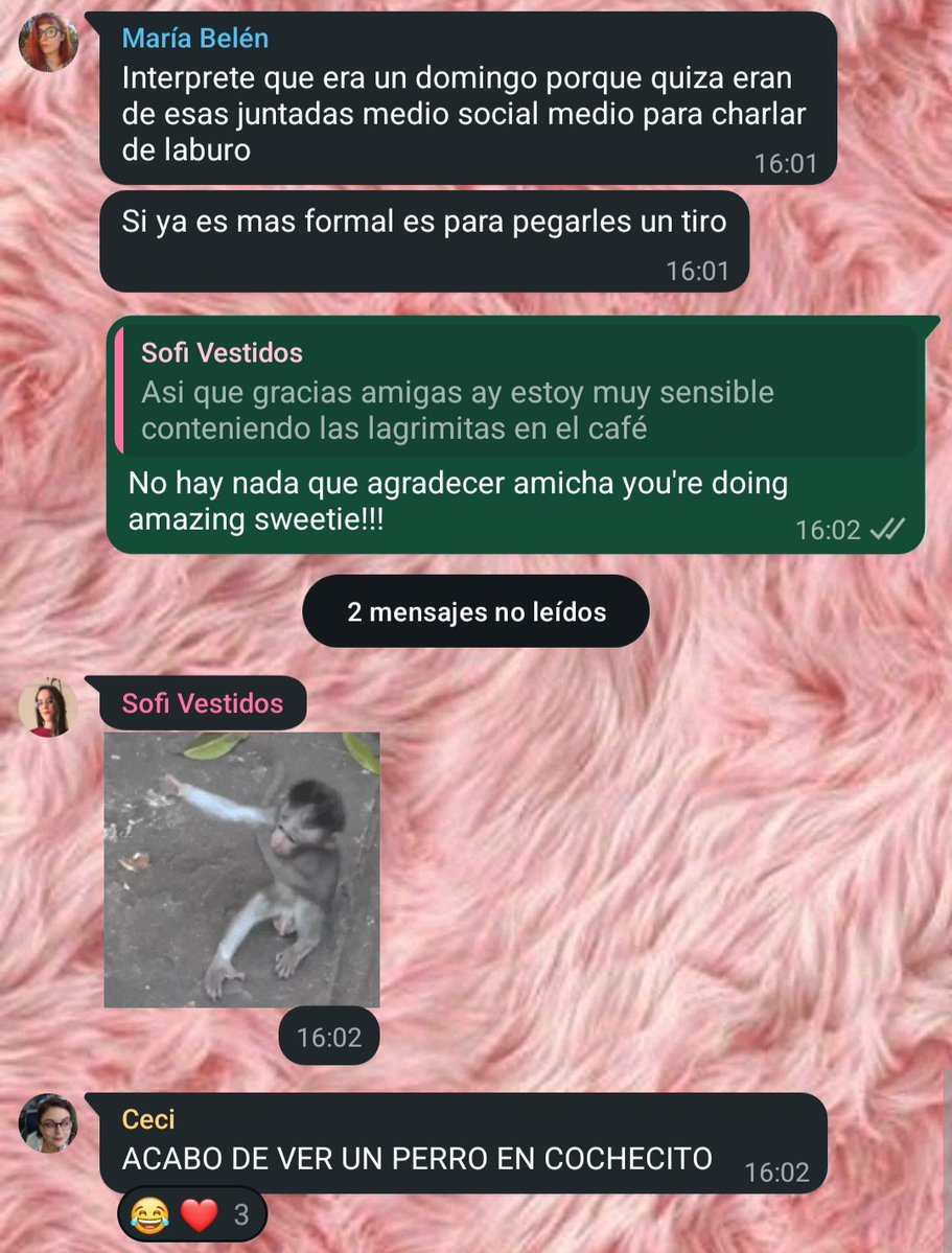 Sofi Mattioli tweet media