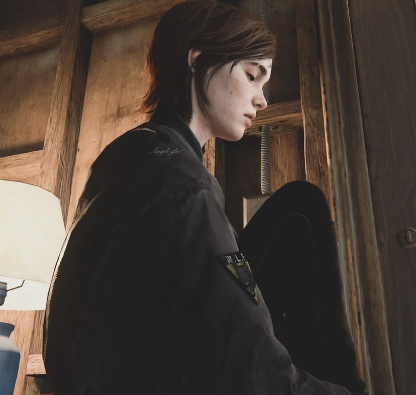 The World of Fera tweet media