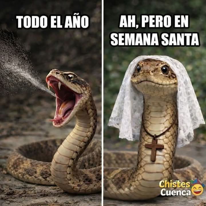 Deleteyourname tweet media