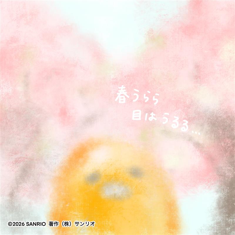 ぐでたま【公式】🍥🕙 tweet media