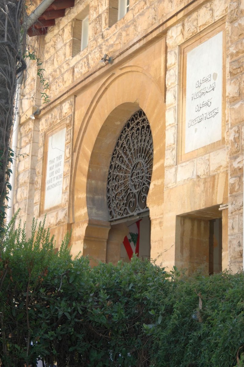 Lina Tannir tweet media