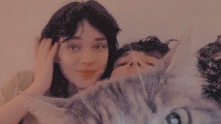 ‍ ‍ ‍parker. ‍ tweet media