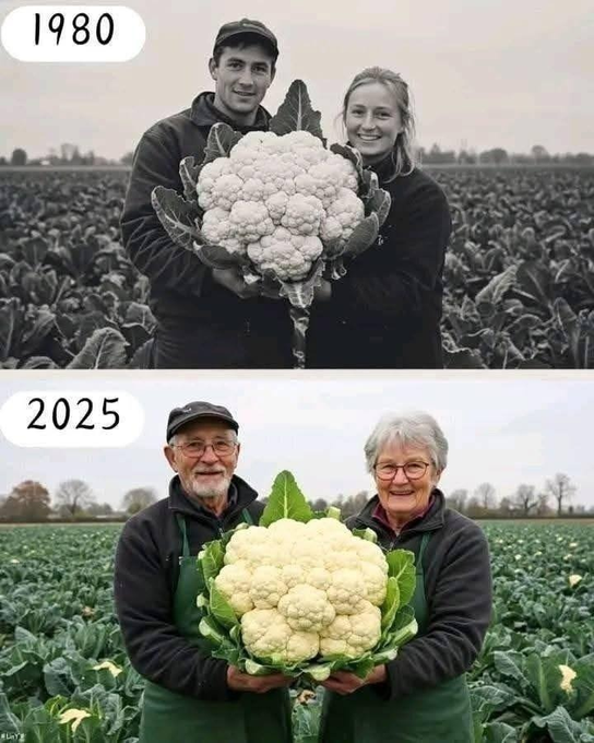Natalia65un's tweet photo. From 1980 to 2025, time has altered their faces, and the world has changed—more than once. Yet those silent things remain constant, year after year working side by side, meeting as promised, keeping each other company. True beauty lies not in youth, but in having someone by your https://t.co/k7pDcY0hQN