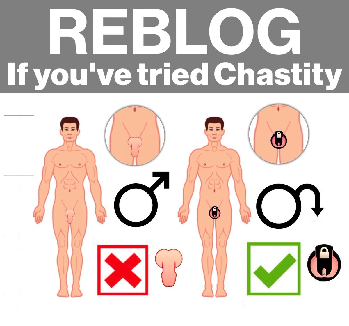 Gay Chastity🍆 tweet media