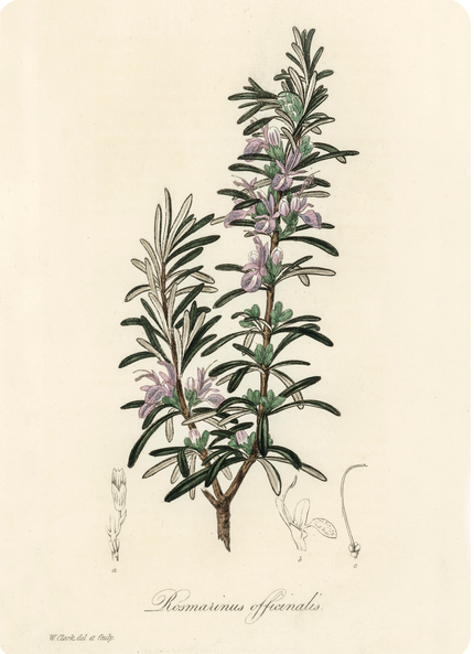 Laurence Coiffard tweet media