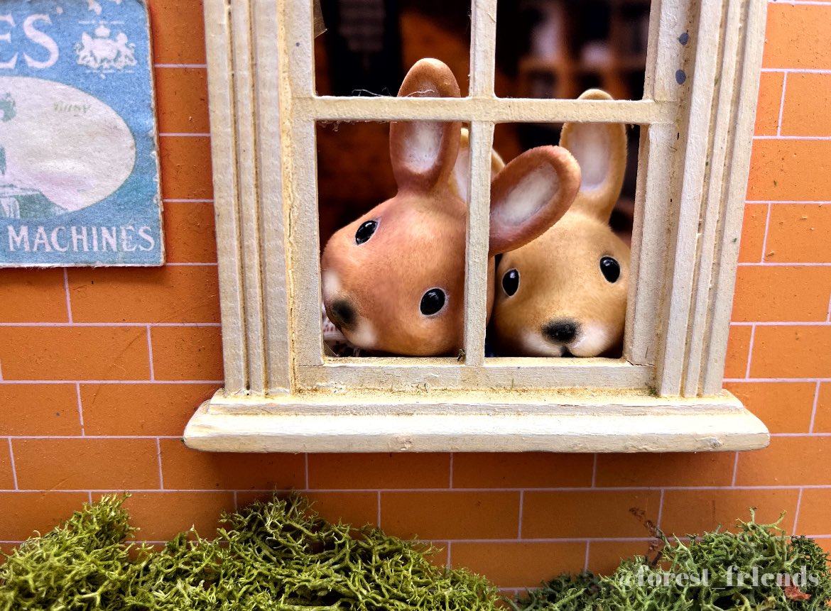 forest fr1ends tweet media