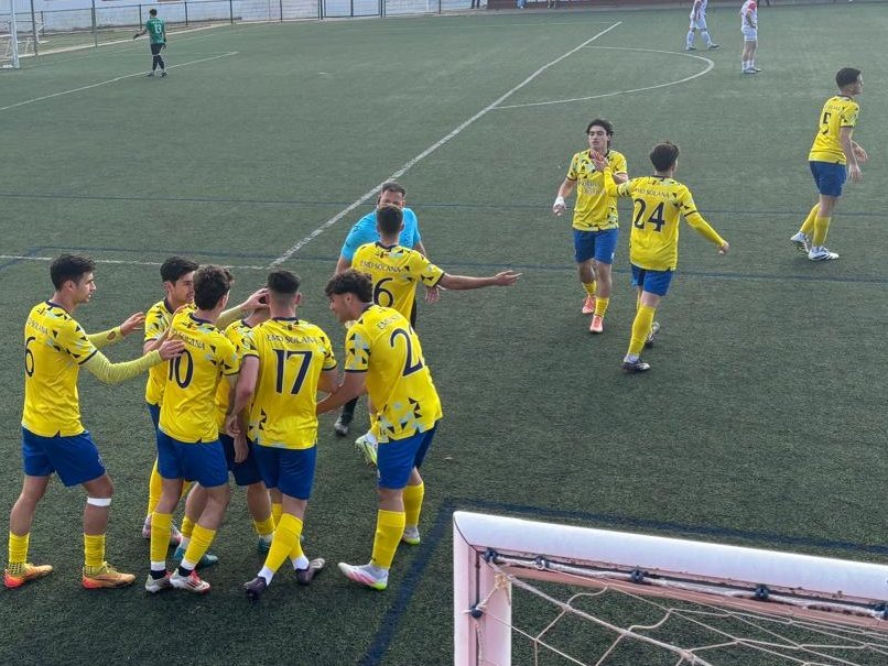 Solana EMD® tweet media