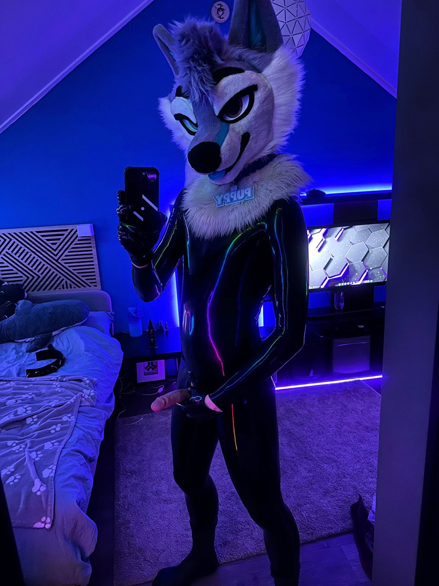 HuskySlut tweet media