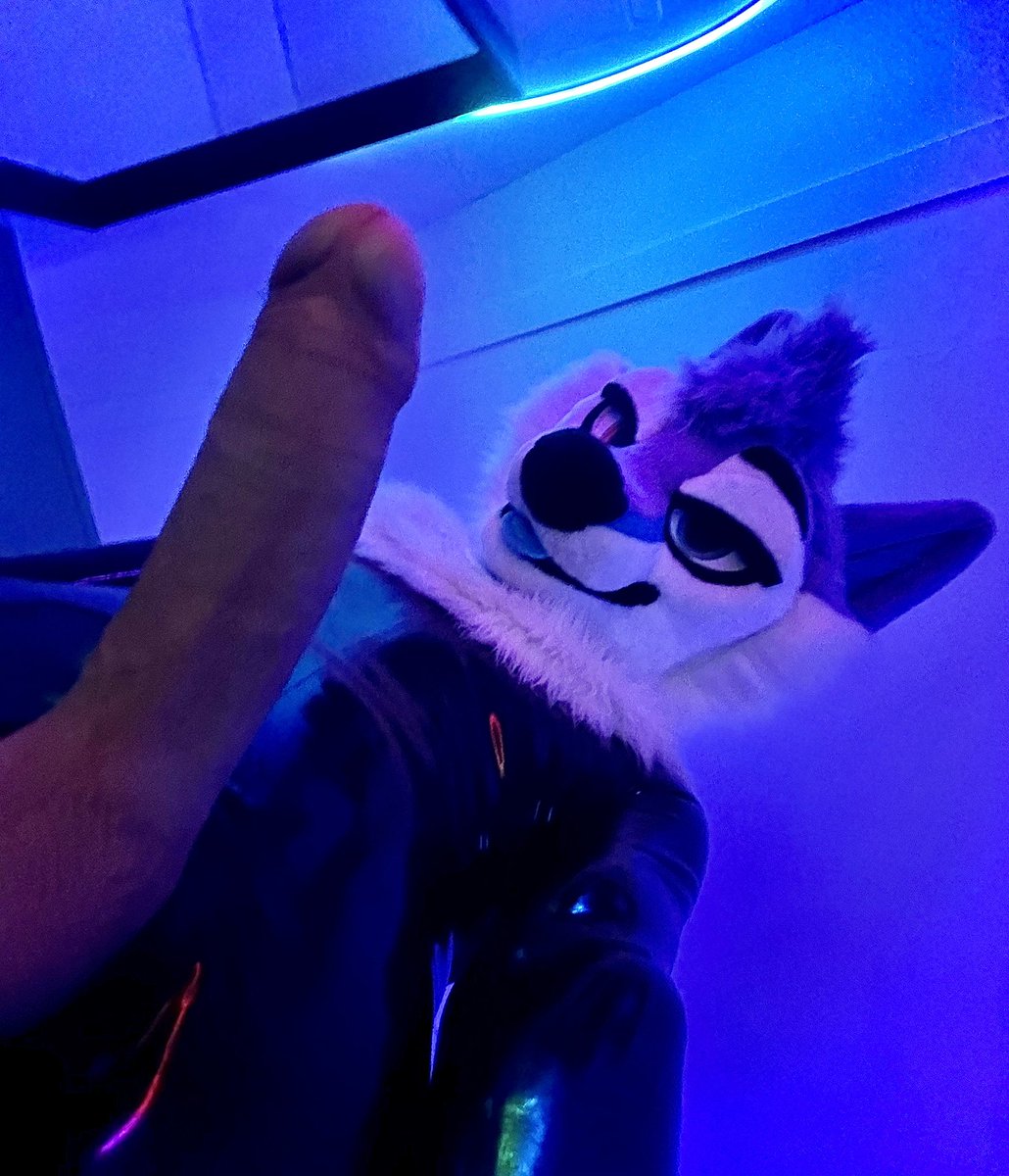 HuskySlut tweet media