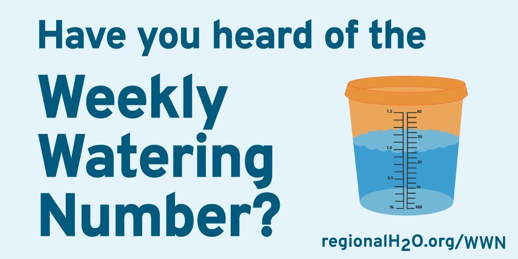 Watering season is around the corner! Make sure you’re set up to water wisely by signing up for the Weekly Watering Number today. We’ll tell you when to start watering this season, so now’s the perfect time to sign up: regionalh2o.org/WWN