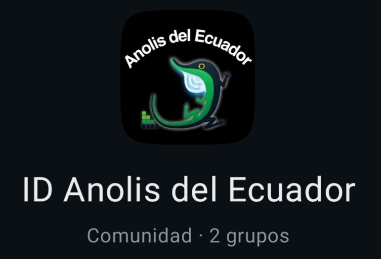 Fernando Ayala tweet media