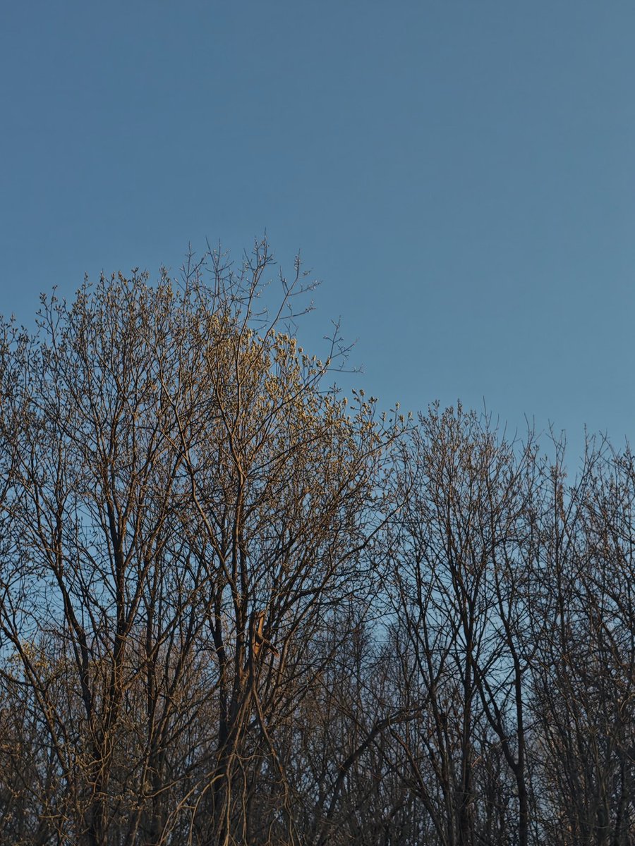 🌷Призрак над Чертаново (DJ Breedo Faggins)🌷 tweet media