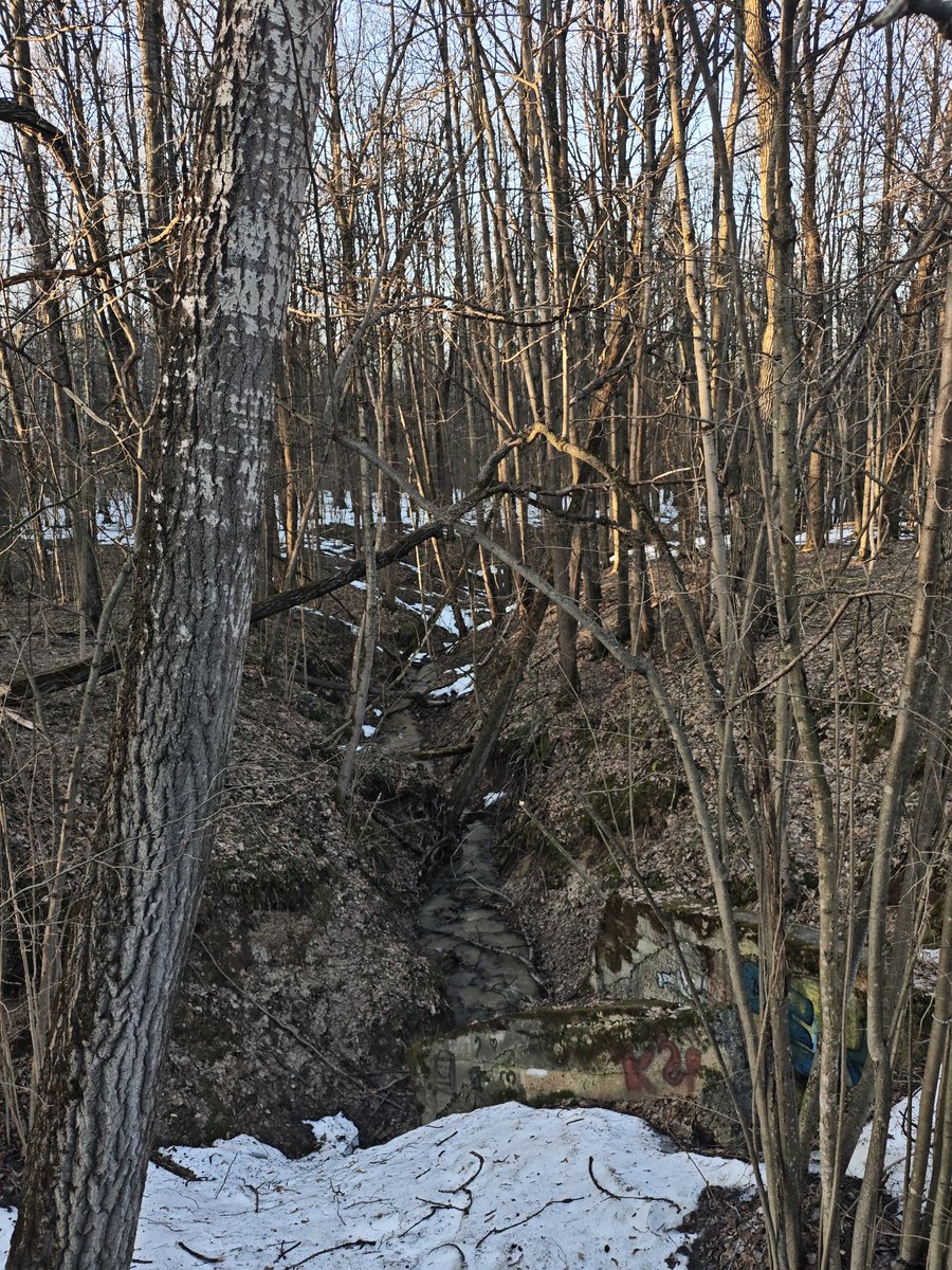 🌷Призрак над Чертаново (DJ Breedo Faggins)🌷 tweet media