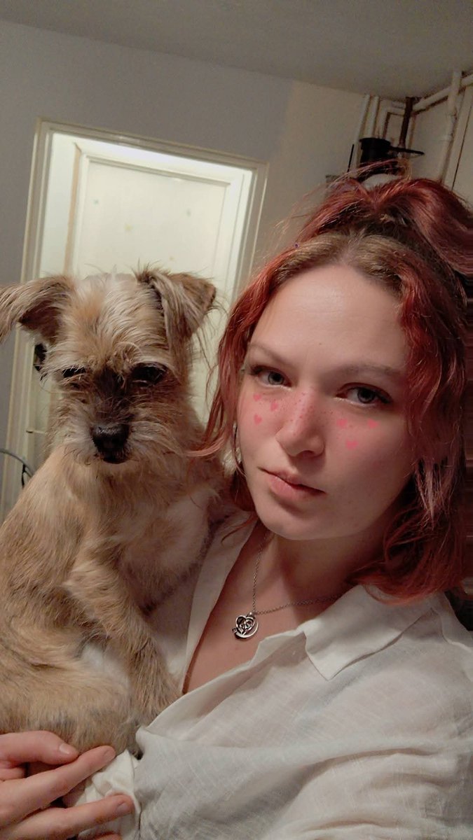 Missing Pets GB tweet media