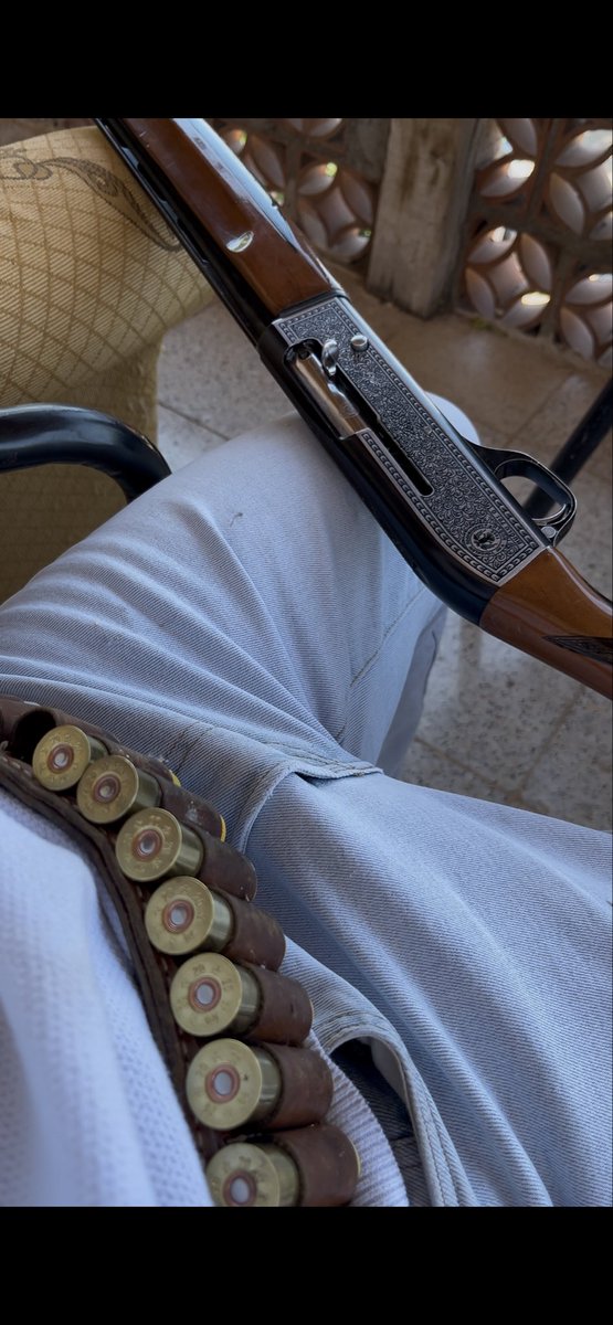 Hasan 🇹🇷 tweet media