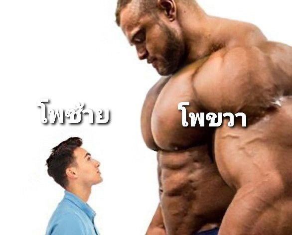 คุณหมึก tweet media